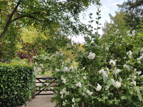 Cascades Gardens