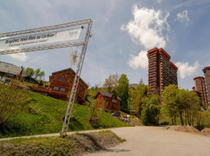 Lunik 1407