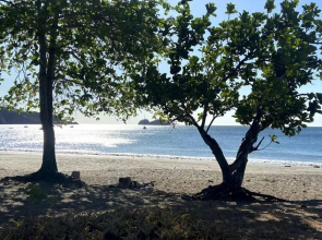 Charming 2Bed/2Bath Ground Floor