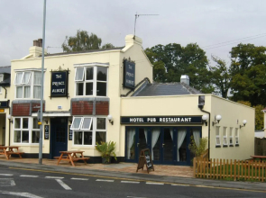 The Prince Albert