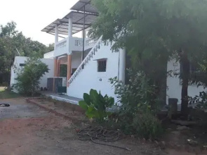 Blue Lotus Hostel