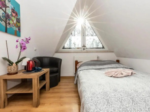 Brzoza w centrum Zakopanego