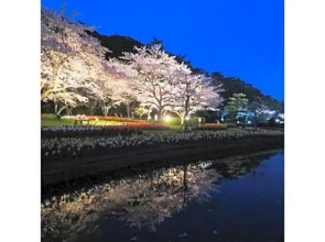 Kanzanji Sago Royal Hotel - Vacation STAY 43402v