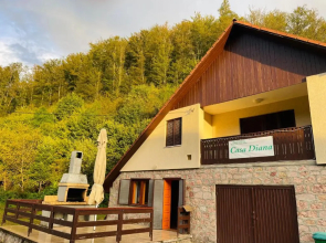 Casa de Vacanta Diana Moneasa