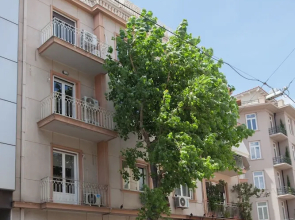 Charming Urban Oasis at Megaro Mousikis