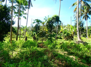 Chom Suan Homestay
