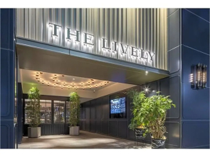 THE LIVELY HAKATA FUKUOKA - Vacation STAY 82653