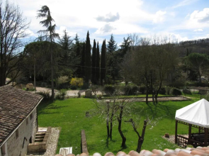 Il Vignale
