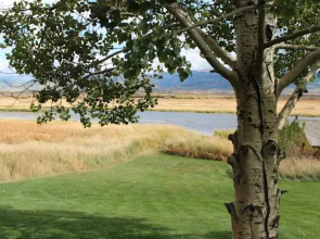 Teton Valley Lodge
