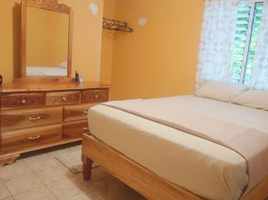 Under the Mango Tree