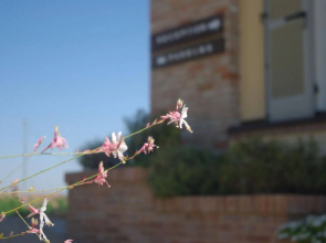 NaturalMente Wine Resort