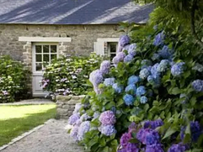 Cottage Du Mesnil Des Bois