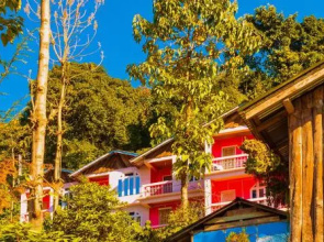 The Wild Flower Retreat
