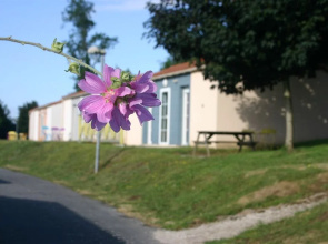 Residence du Bocage