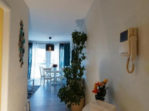 Colmar Sweet Home