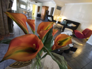 The Anderson Estates