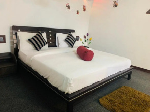 Ella Forest Eco View