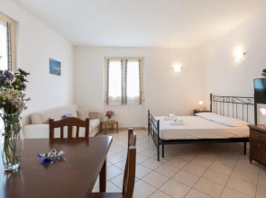 Easy Welcome Begonie