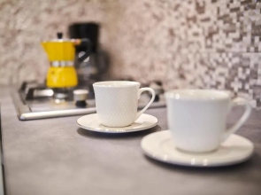 Apartment David with Hydromassage Bath near Umag