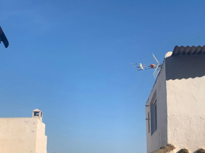 Casa El Rinconcito