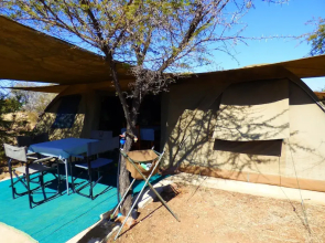 Thorn Tree Bush Camp