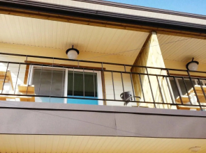 Kkeomeokda-ri Pension