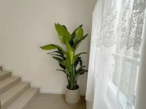 Banxia Homestay (Fairy Mountain)