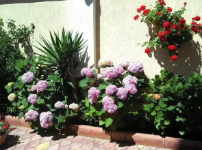 Веста на Станиславского