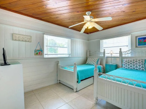 Driftwood Beach Oasis