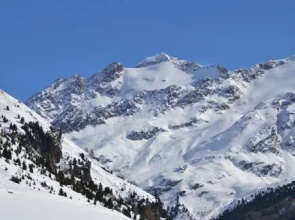 Wieshof