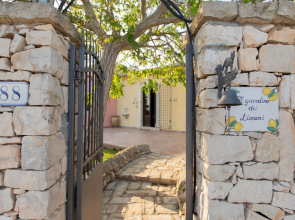 Il Giardino Dei Limoni 8