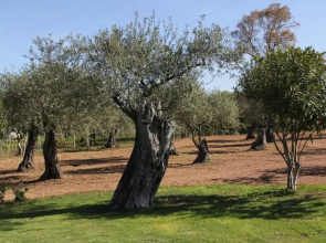 Bandb Villa Grazia