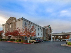 Holiday Inn Express Galleria Area