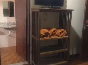 Hostel Passos