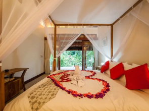 Infinity Jungle View Aashaya Villa Ubud