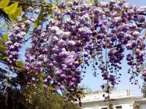 1-komn.kvartira ul. Generala Dbar, 17, evroremont