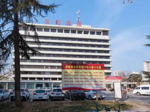 Xianyang Irico Hotel