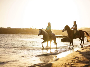 Mövenpick Resort Sharm El Sheik Naama Bay
