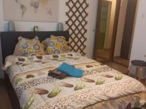 Best Central Acomodation