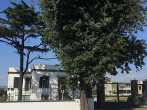 Al Tartarughino B&B
