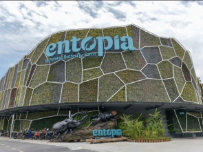 2 Bedrooms Apartment By The Sea