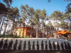 Resort 5 Stars Telavi