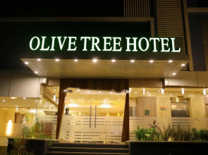 Olive Tree Hotel