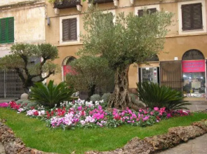Centro Storico Carlo Alberto