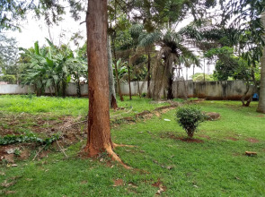 studio 62 guest house