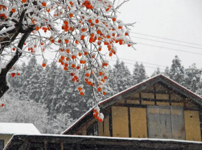 Hiraizumi Hot Spring Ryokan Soba'an Shizukatei