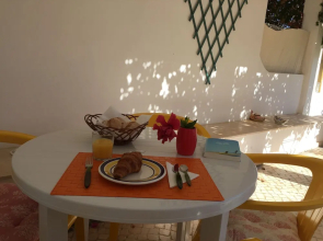 Apartments Praia da Coelha