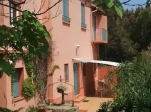 Gîte Jonquille