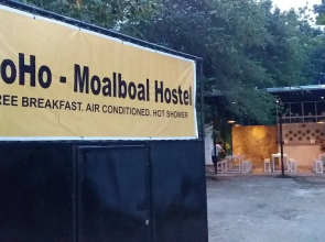 MoHo Moalboal Hostel