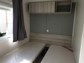 Macareux moine